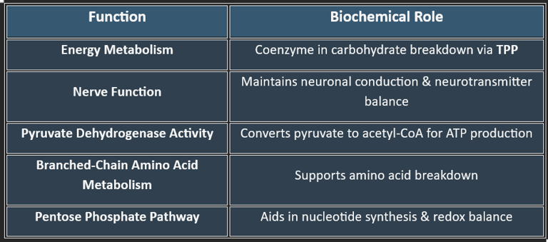 Thiamine functions
