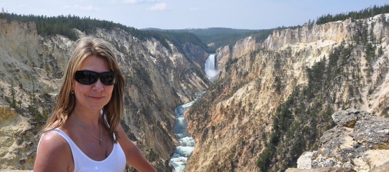 lower falls and the grand canyon of the yellowstone national park