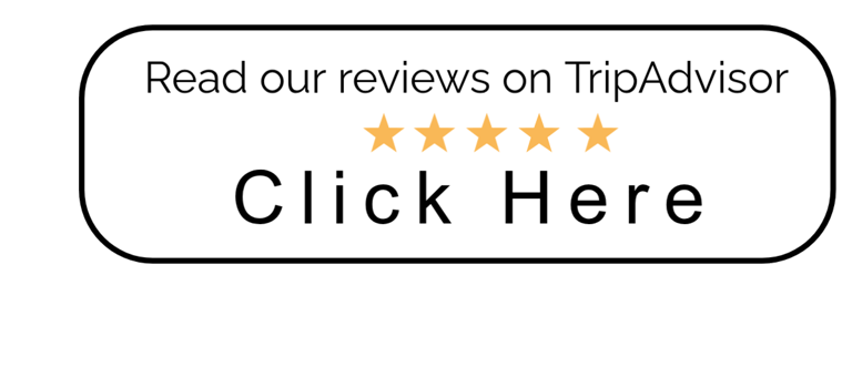 a tripadvisor with a tripadvisorm tripadvisor