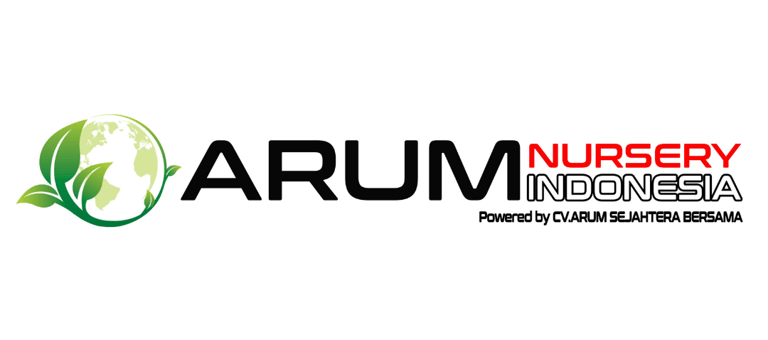 ARUM Nursery Indonesia logo – rare Hoya exporter and tropical plant grower