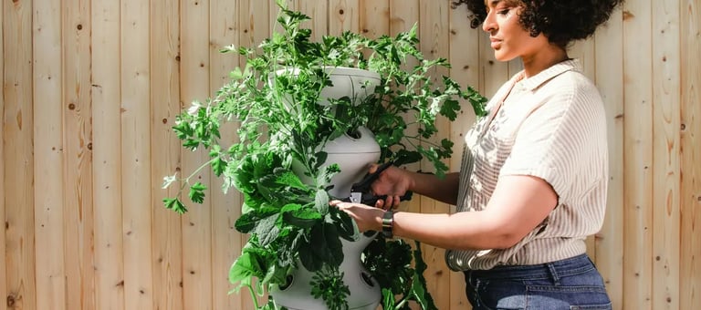 Growing vegetables on a balcony using a vertical planter in a compact apartment garden