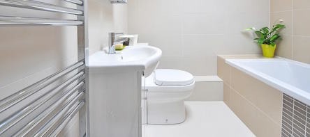 Toilet Repair, Toilet, Bidet Installation