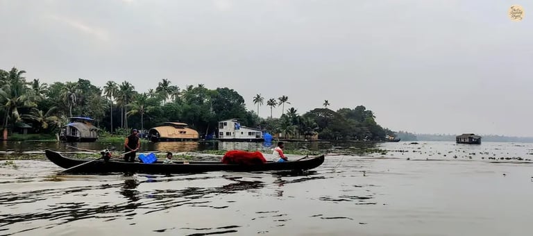 Local fishermen casting nets near Pathiramanal Island in Alleppey backwaters in Kerala.