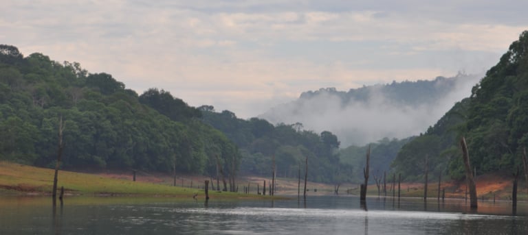 Periyar lake at the Periyar Tiger reserve, near Kumily , India