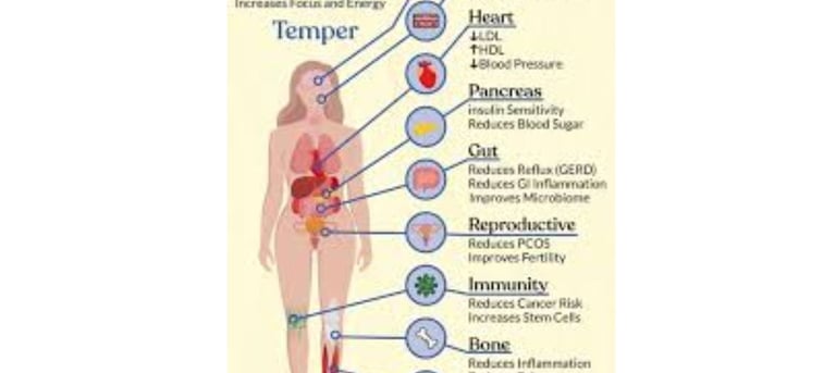 Starvation Diabetes : Fasting-Induced Insulin Resistance