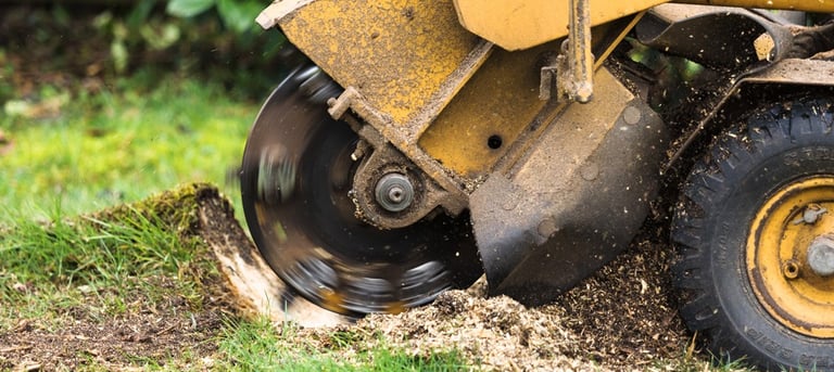 alt="Dessouchage de souche d’arbre en Haute-Savoie annecy