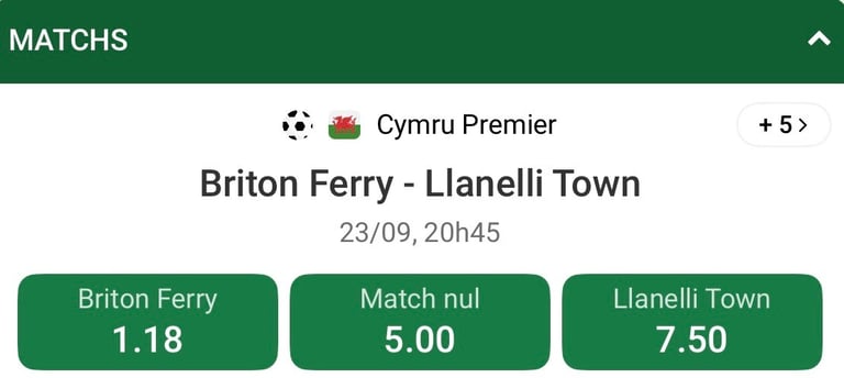 briton ferry vs. llanelli town briton ferry vs llanelli type briton ferry vs llanelli results