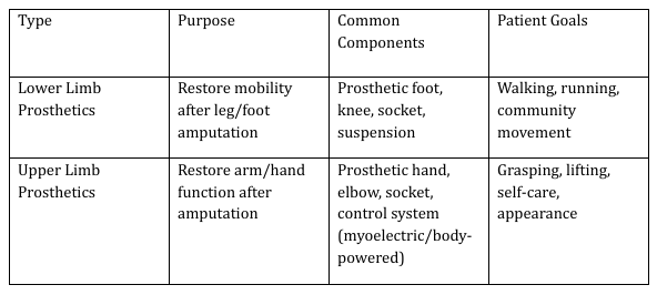Comparison: Upper vs. Lower Limb Prosthetics