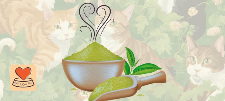 Image depicting a strong smelling bowl of catnip