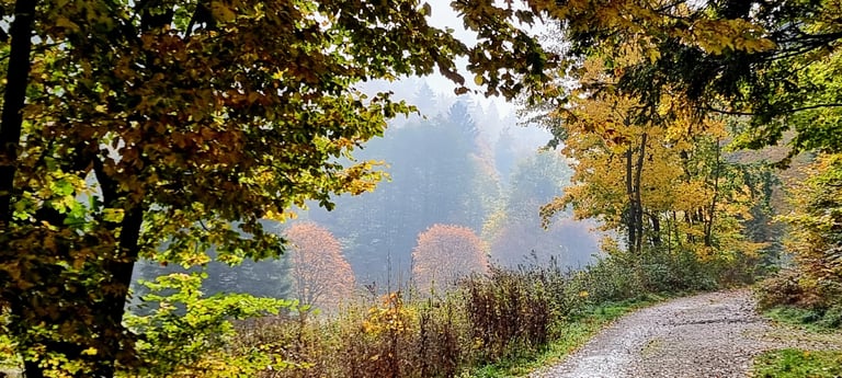 Weiltal im Herbst