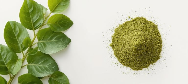 moringa leaf powder