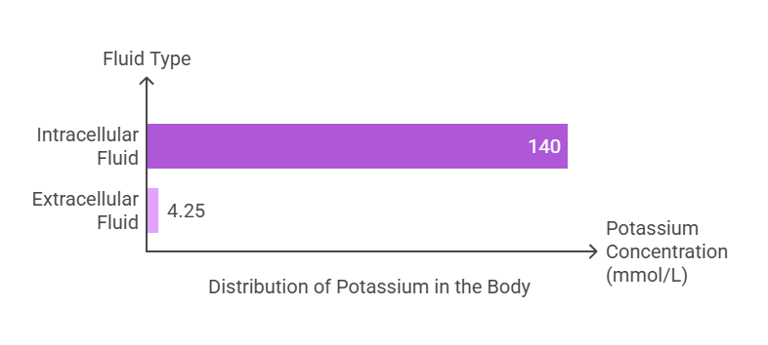potassium distribution in body