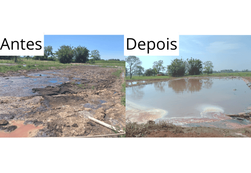 resultado biorremediador