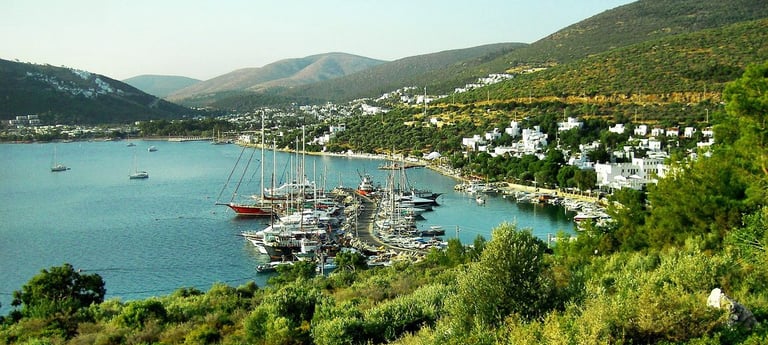 Bodrum Havalimanı Torba Taksi