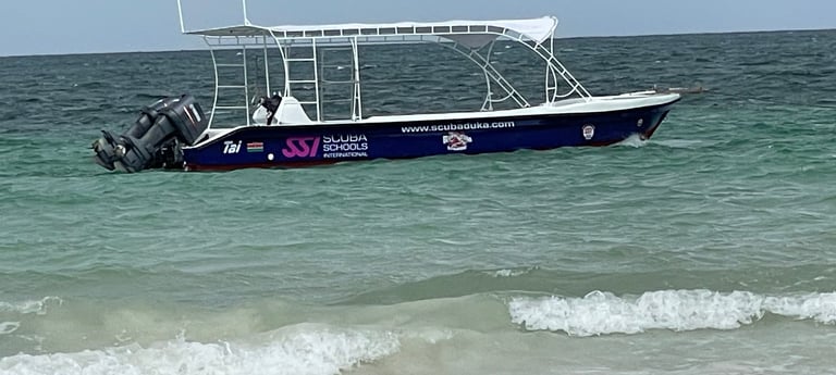 Scuba Schools International dive boat floating on turquoise ocean water near a sandy beach.
