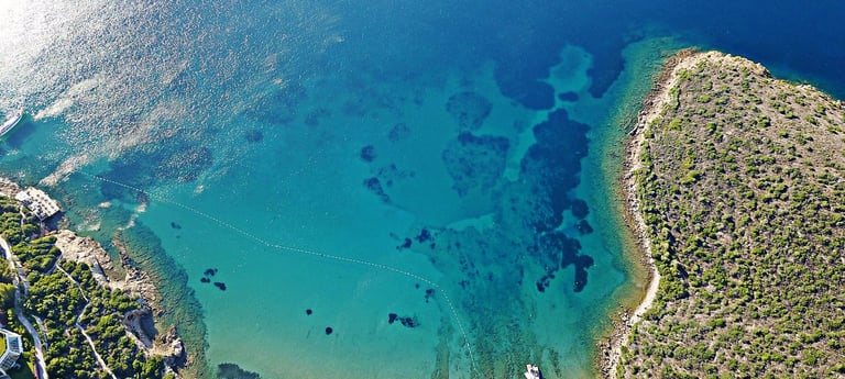 yaliciftlik-vip-taxi-premium-nature-transfer