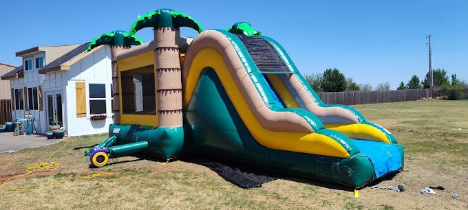 Tropical palm tree water slide rental setup in Oklahoma City