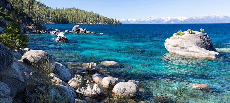 top dog friendly beaches north lake tahoe