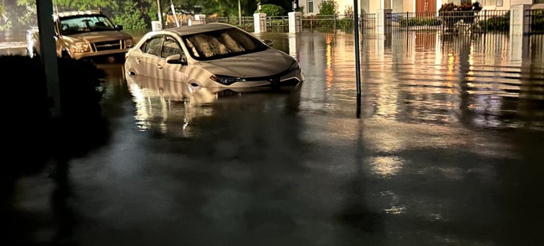 Courtesy of Deborah Brunozzi. Palm Harbor FL, 9/2024