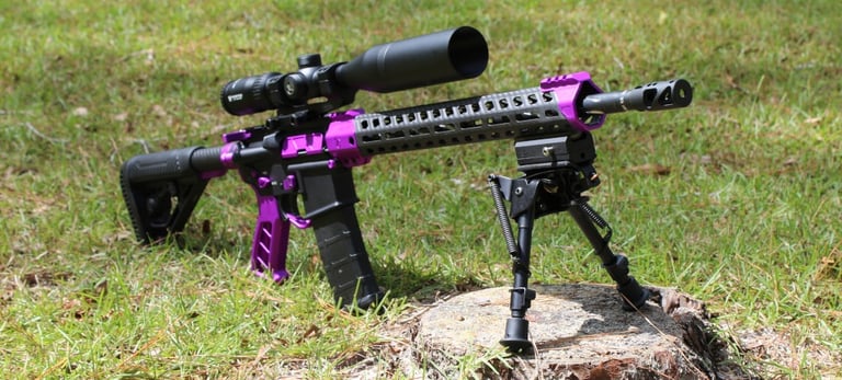 Custom AR15 purple with carbon fiber