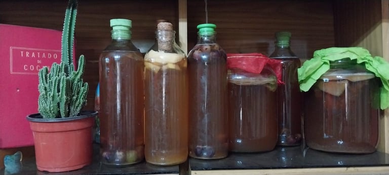 kombucha
