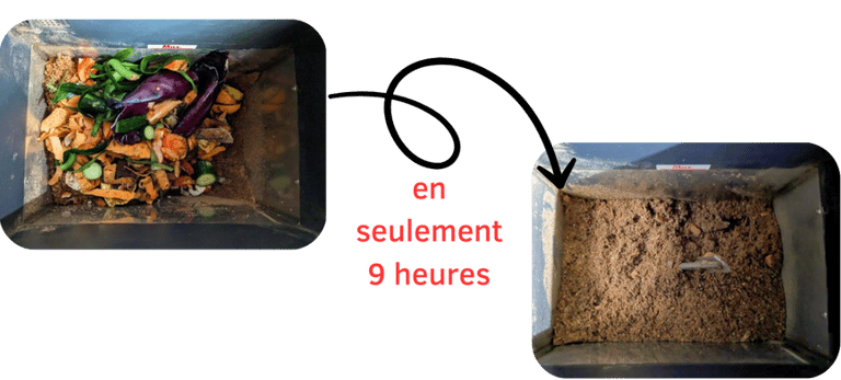 Transformation eco-digesteur