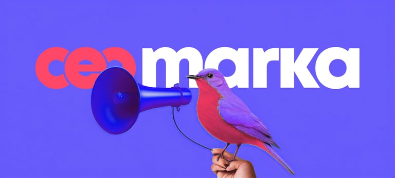 E-ticaret Yönetimi Hizmetleri: E-ticaret yönetimi hizmetlerinin kapsamını ve Ceomarka