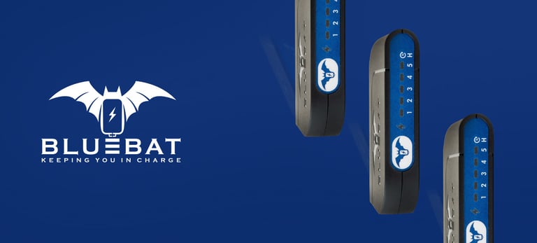 Charging Device | Bluebat BB101 for optimum charging. Timed and delayed charge with heat sensor