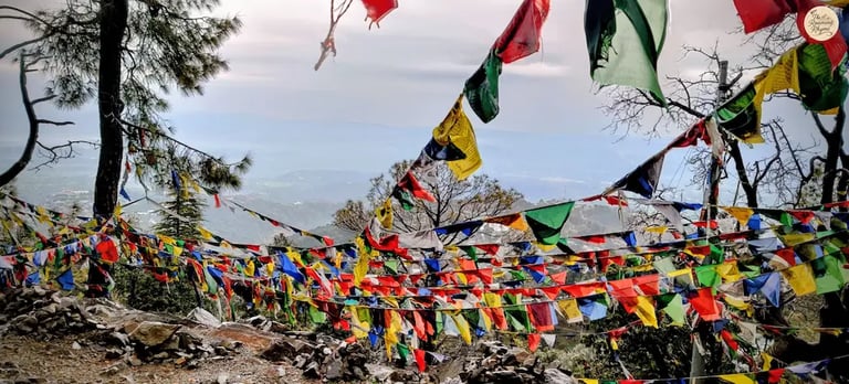 Colorful prayer flags along the Triund trekking route, McLeod Ganj, Dharamshala.