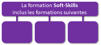 AIP, Association, RSA, PLIE, SIAE, Formation, conseiller numérique, Mitry Mory, Chelles, Fle, Emploi, Soft Skills, langue, ap