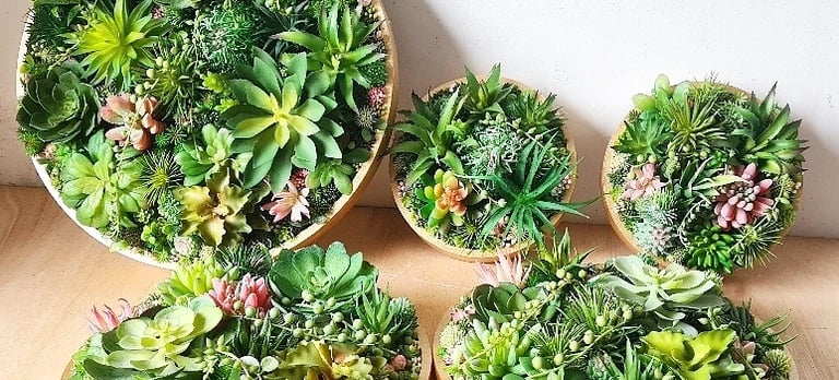 Vertical wall art featuring faux succulent arrangements in circular gold frames for home decor.