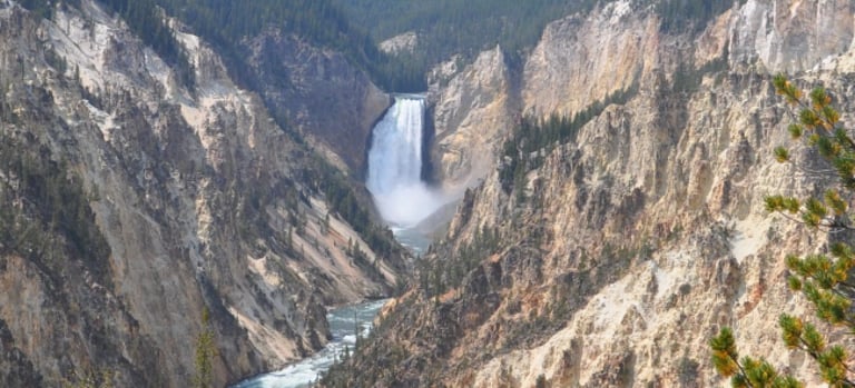 lower falls and the grand canyon of the yellowstone national park