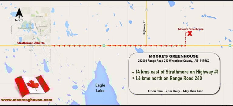 MAP TO MOORE'S GREENHOUSE