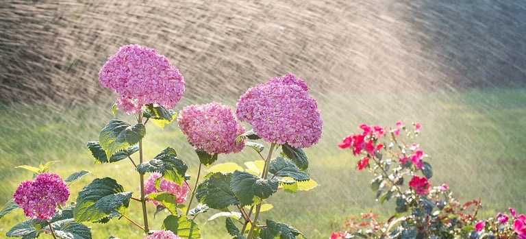 Irrigation repair company