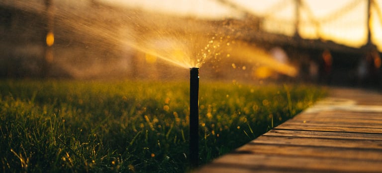 sprinkler winterization company 
