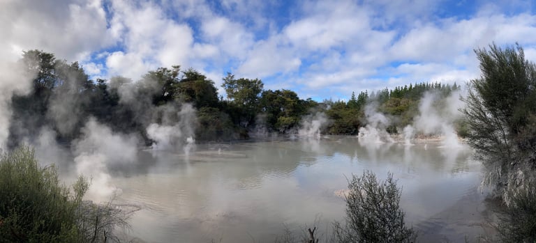 Mud Pool Rotorua