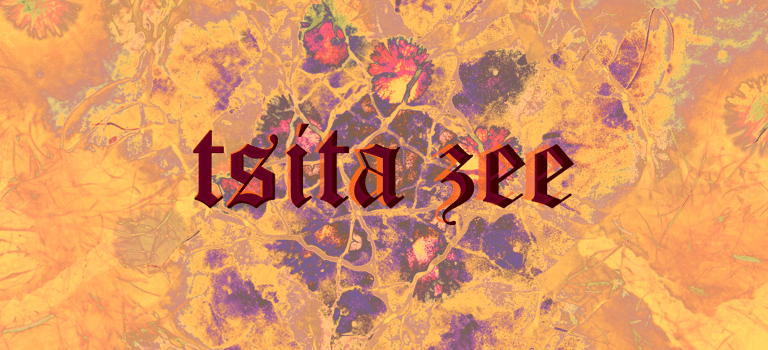 The logo of tsita zee showing her name in bold antique letters with bright organic background.