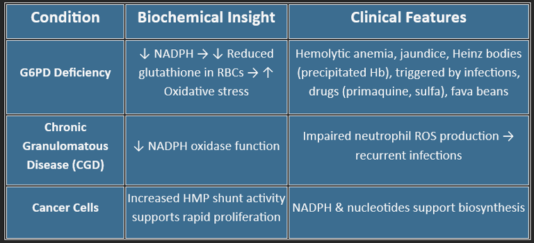 HMP shunt-biomedical importance