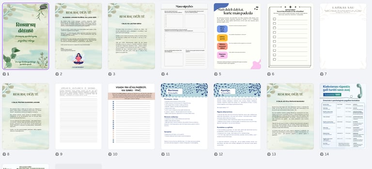 PDF darbalapių pavyzdžiai iš "Resursų dėžutės"