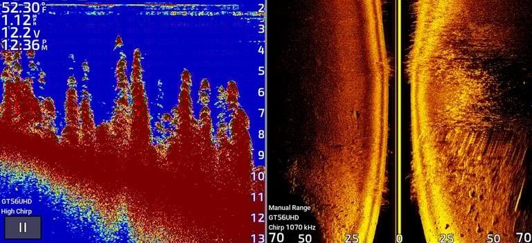 2D and side imaging of bottom