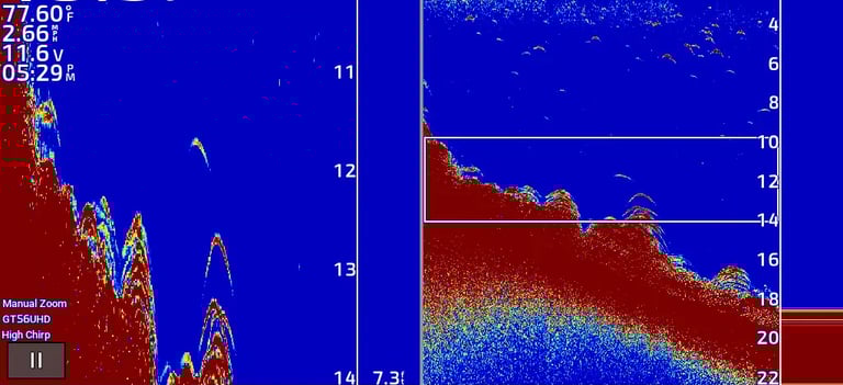 CHIRP suspension fish on garmin sonar