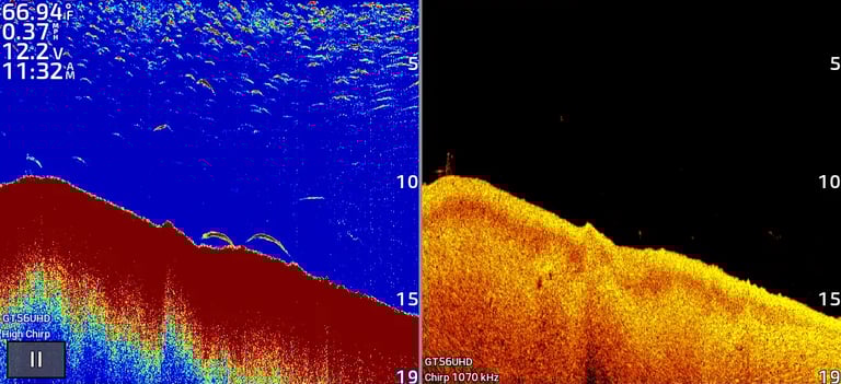 2D and down imaging bass