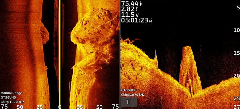 side imaging sonar showing hard and soft bottoms