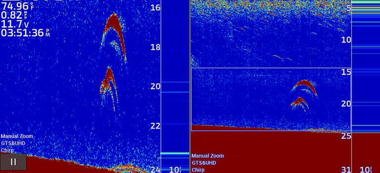 2D bass above bottom of lake