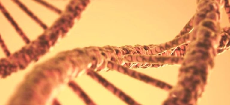 Αλυσίδα DNA για τεστ διατροφικής γενετικής και εξατομικευμένη διατροφή στη Θεσσαλονίκη