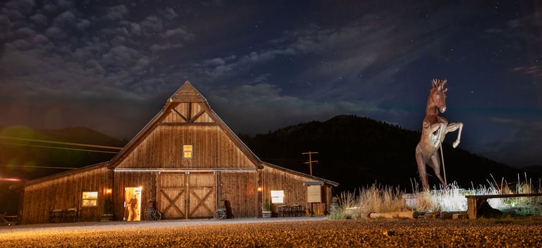 The Steel Horse lit up at night