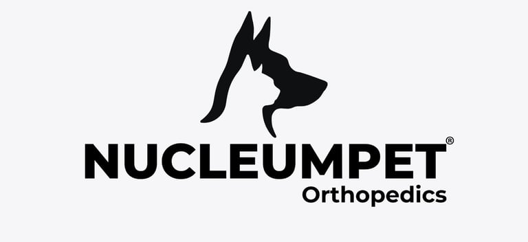 Perro con silla de ruedas ortopédica para perros, NUCLEUMPET Orthopedics en Bogotá Colombia.