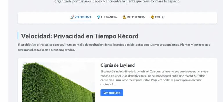 uan guía interactiva para conocer las mejores plantas para formar un seto en Madrid