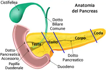 Pancreatite e Osteopatia