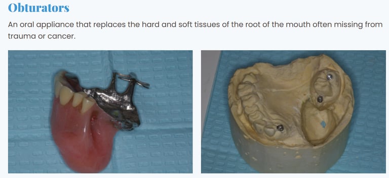 picture of an obturator